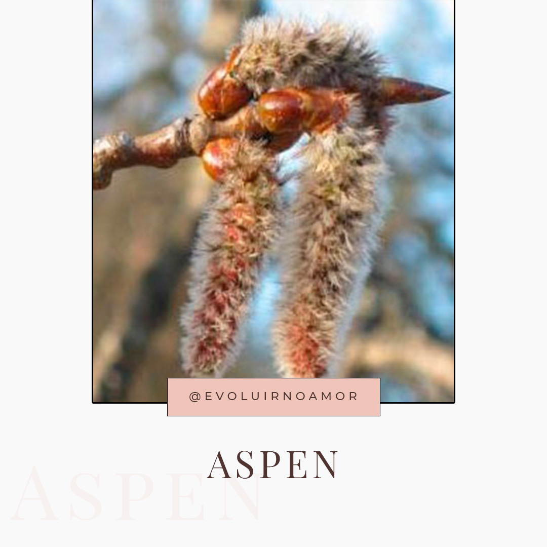 aspen