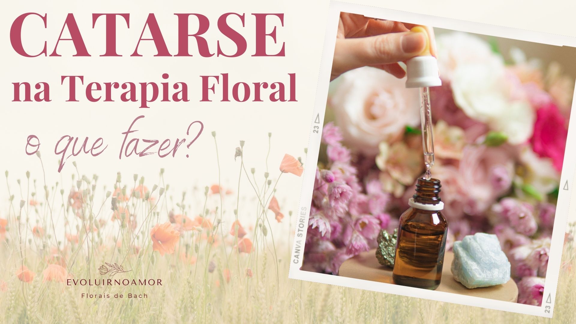 Catarse na Terapia Floral