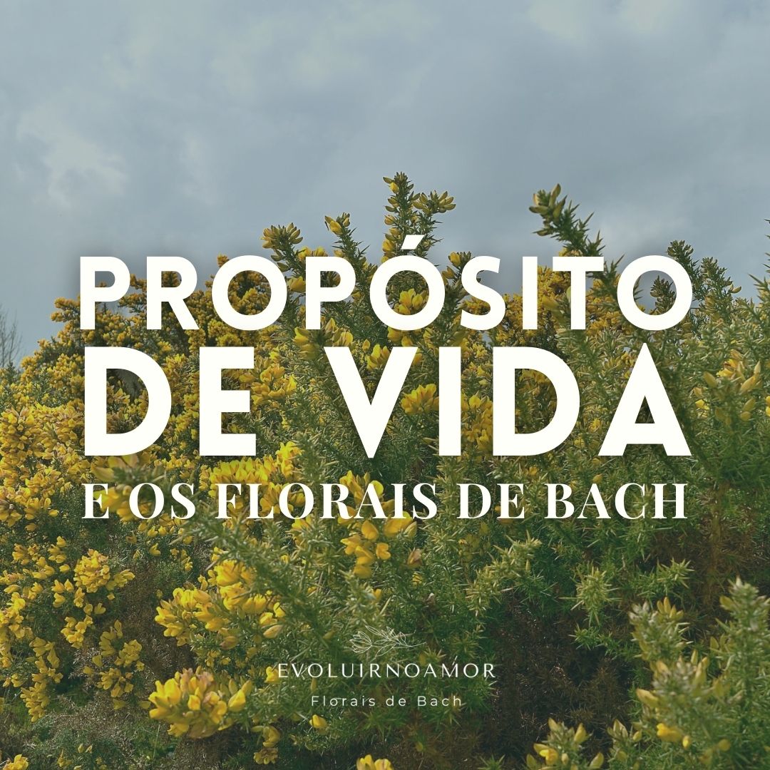 Propósito de Vida e os Florais